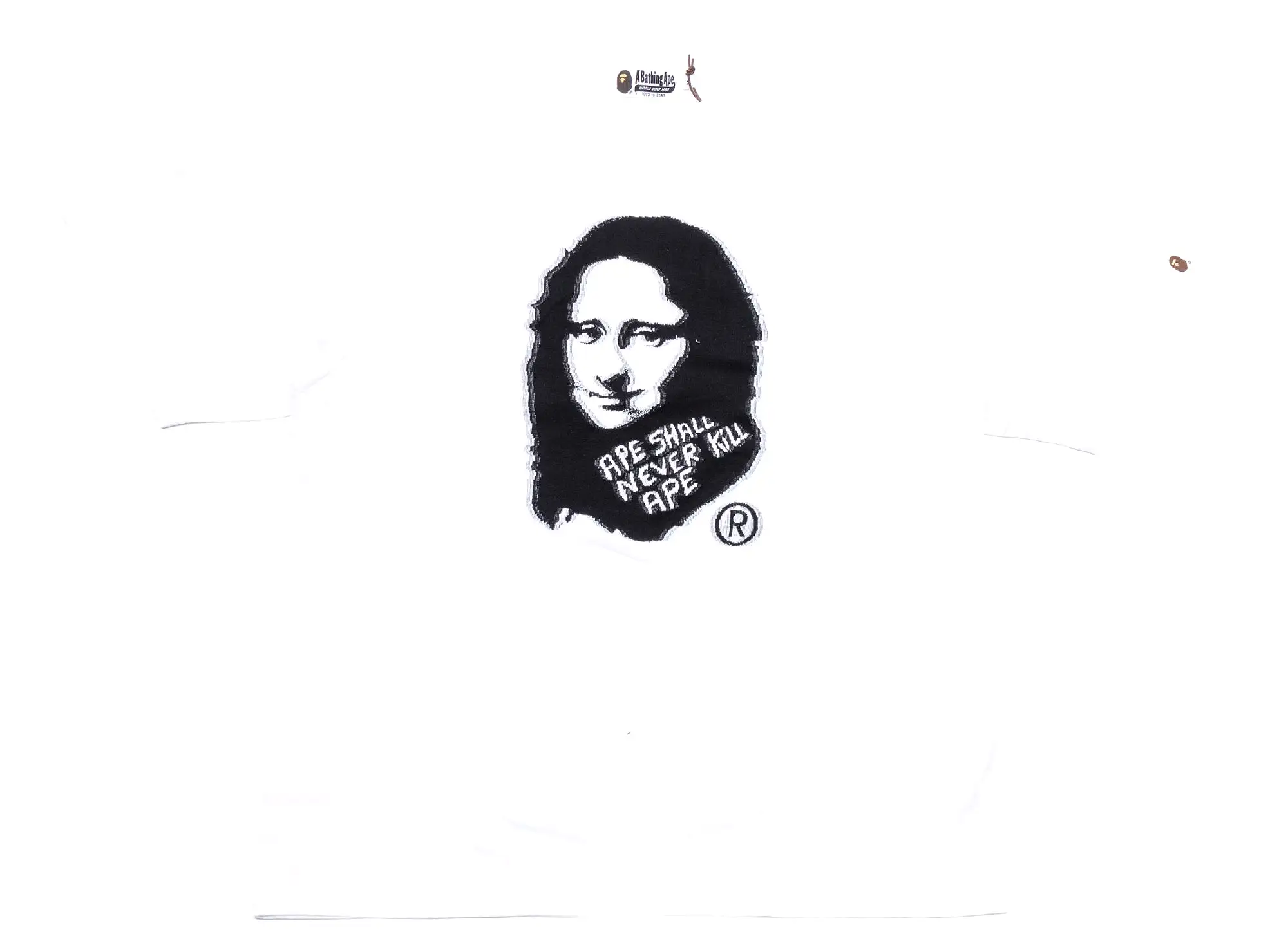 A Bathing Ape Art Print Jacquard Tee in White xld