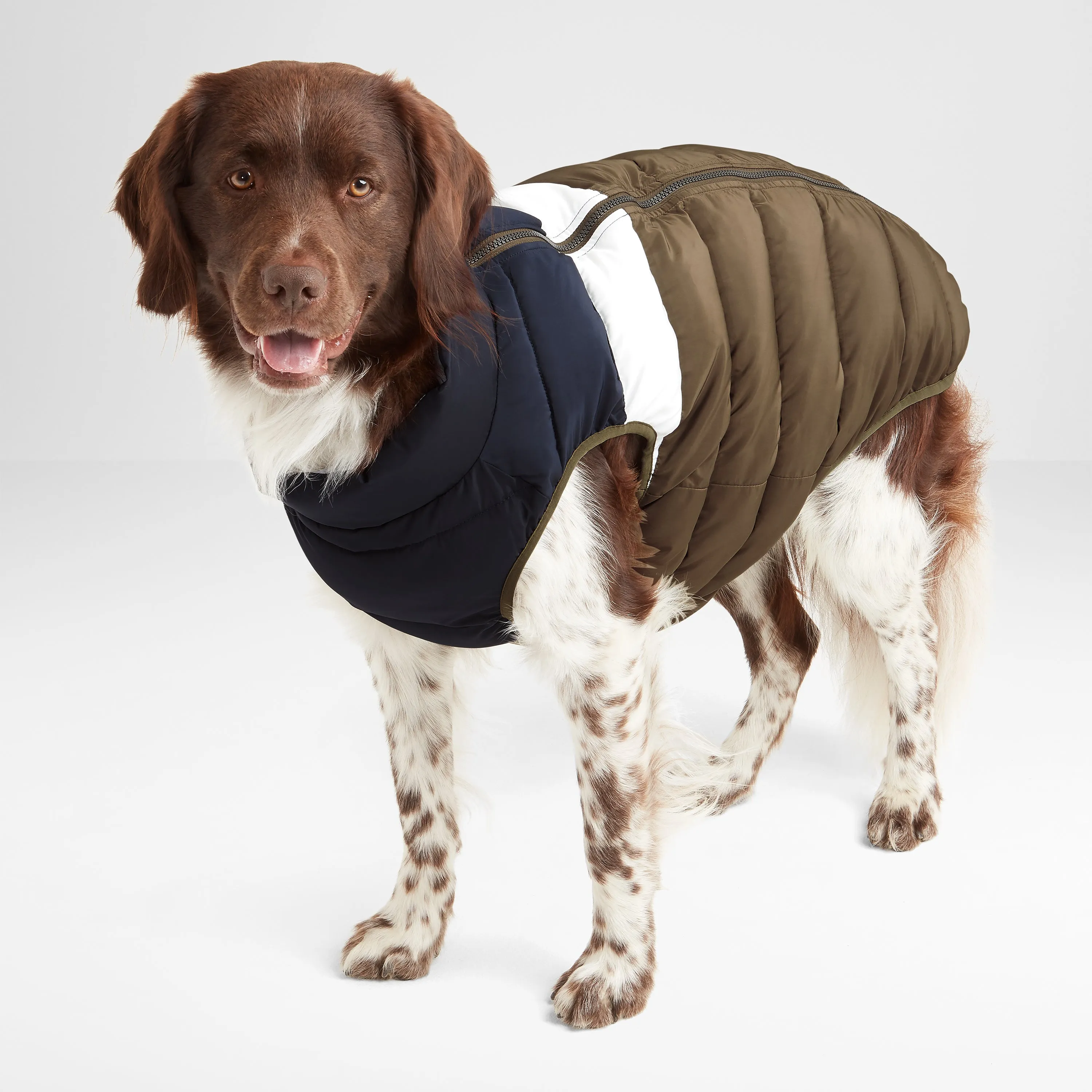 Fetch Padded Dog Coat S - Khaki/Dark Indigo/Optic White