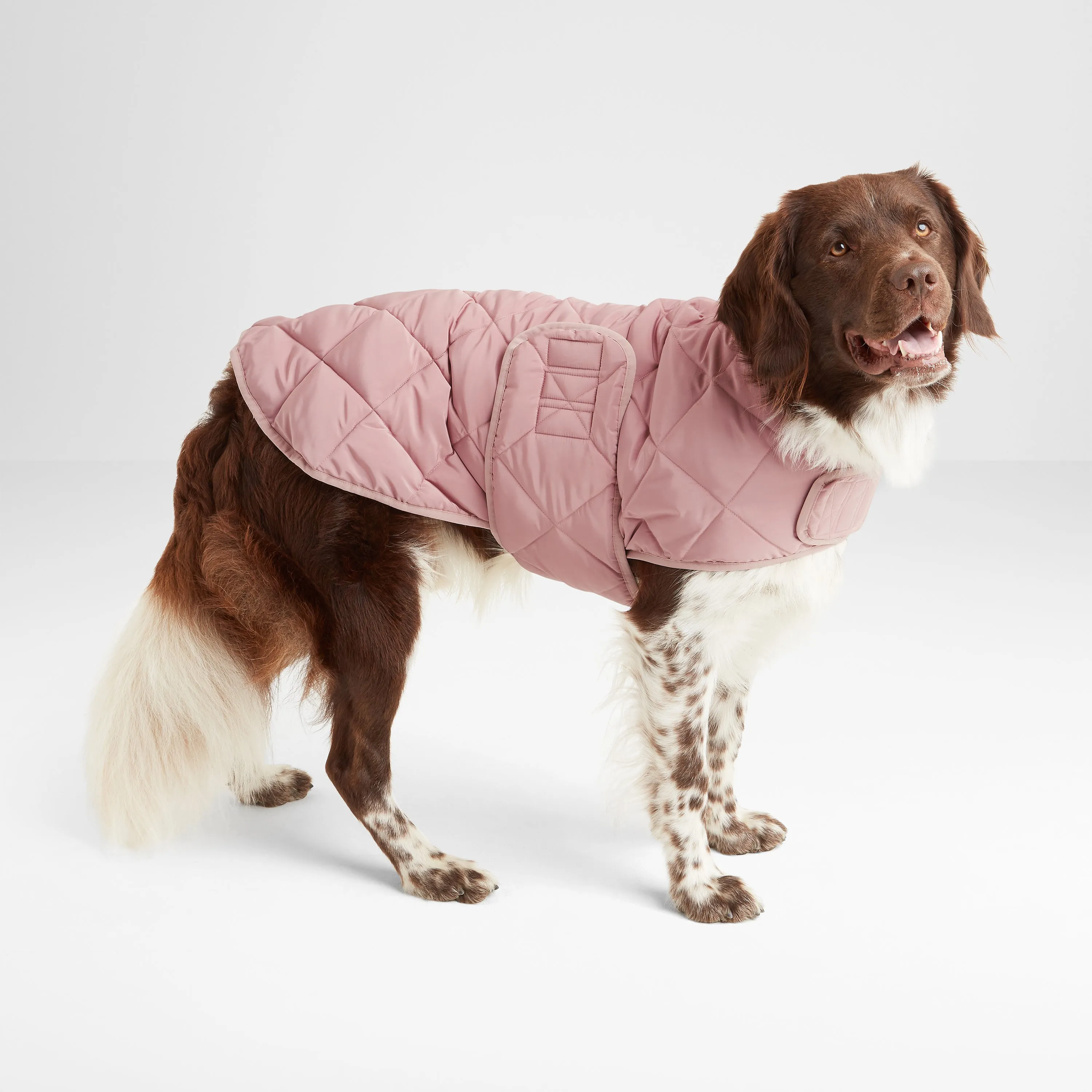 Fido Padded Dog Coat XL - Faded Pink