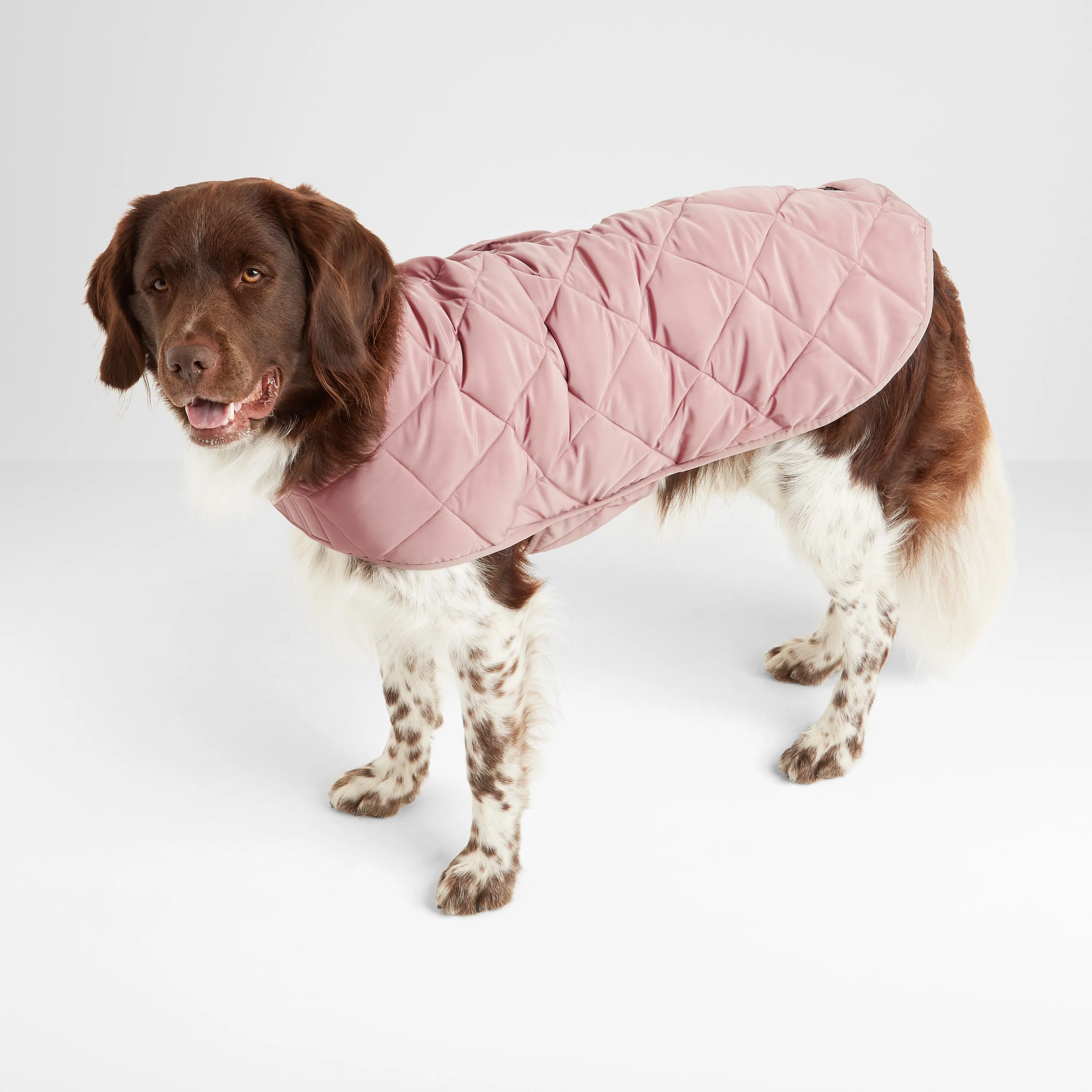 Fido Padded Dog Coat XL - Faded Pink